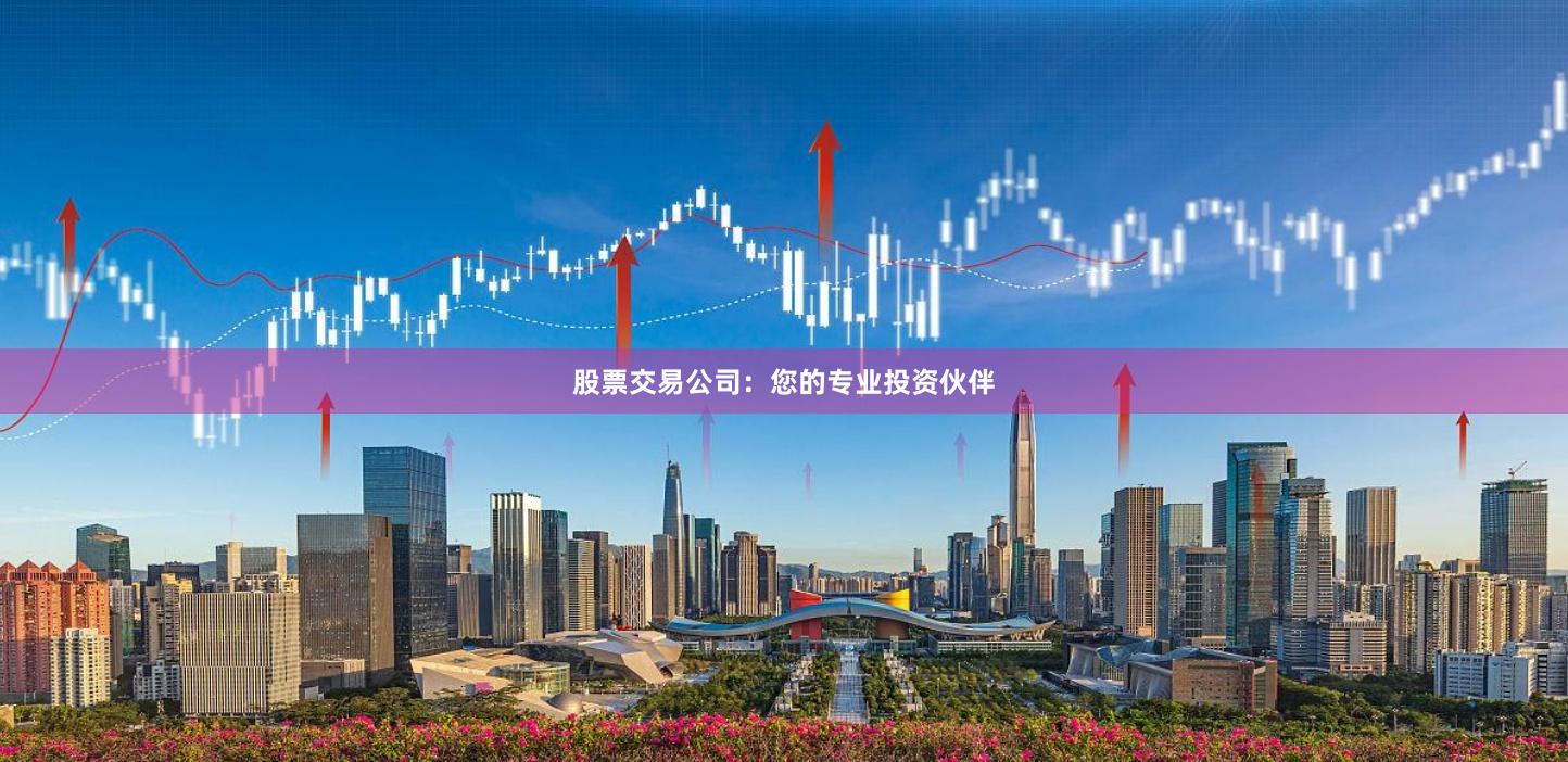 股票交易公司:您的专业投资伙伴