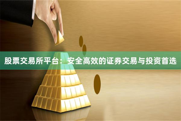 股票交易所平台：安全高效的证券交易与投资首选